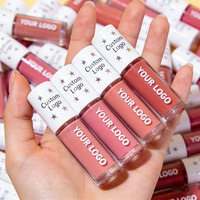 Gloss à lèvres vegan à faible MOQ, changeant de couleur, repulpant, transparent, rose clair, nude, gloss à lèvres en marque privée