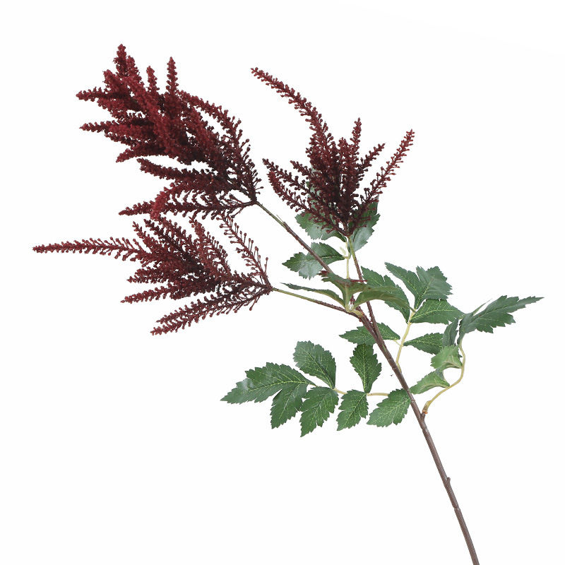 มณฑลเบอร์กันดี