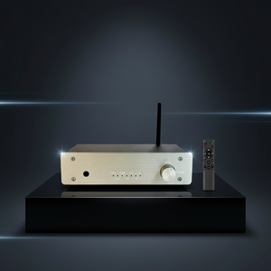 Amplificateur audio <span class=keywords><strong>DAC</strong></span> Samtronic, amplificateur audio stéréo Hi-fi, BT5.3, système audio domestique, amplificateur TPA3116 avec sortie <span class=keywords><strong>pour</strong></span> caisson de basses - Product Image 2