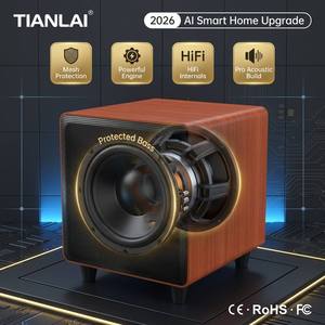 Tianlai D10 Woofers et systèmes de cinéma maison, caisson de basses actif de 10 pouces, amplificateur, haut-parleurs, système audio, son - Product Image 6