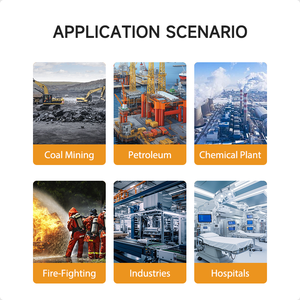 Duotesi DTS-B001 h2s/h2s/co/ph3 גלאי גז פחמן חד חמצני גלאי פחמן חד חמצני אור אזעקת רעש - Product Image 6
