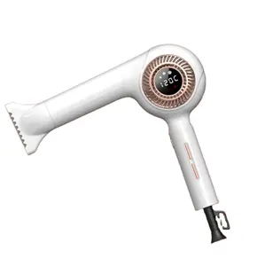 BLDC Motor Lcd screen Smart Hair Item Dryer Ionic Tools Pro Air Products Supplies Infrared Electric Negative Hairdryer For Salon