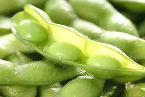 Proveedor Verificado en China de Granos de Edamame Congelados IQF con Certificación HACCP <span class=keywords><strong>y</strong></span> BRC, Ofrece Soja Congelada de Buena Calidad - Product Image 4