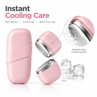 Masseur facial portable à double globe de glace avec outil de refroidissement en acier inoxydable pour le visage, le corps et les yeux – Soin de la peau à domicile
