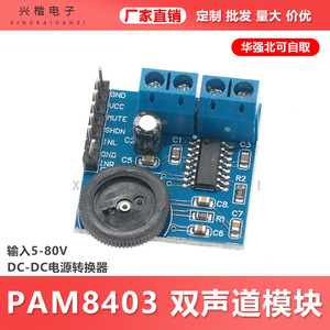 PAM8403 โมดูลเครื่องขยายเสียงแบบสองช่องสัญญาณ 5V พร้อมระบบควบคุมระดับเสียงเครื่องขยายเสียงมินิแอมป์ดิจิตอลบอร์ด - Product Image 5
