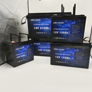 Lfp 48v18ah Lithium Batterij Voor Elektrische Scooter, Elektrische Motorfiets - Product Image 4