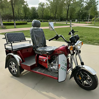 Nouvelle moto à trois roues Lifan à essence avec side-car, embrayage automatique, pour loisirs et transport de marchandises, 2 passagers