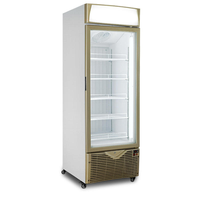 Réfrigérateur commercial multi-étagères grande capacité pour boissons, réfrigérateur de présentation pour bières, colas et autres boissons