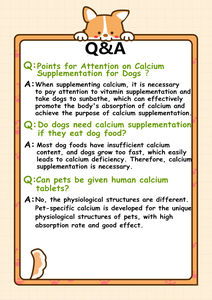 Las tabletas de calcio para mascotas pueden ayudar a prevenir la deficiencia de calcio en cachorros y gatitos - Product Image 4