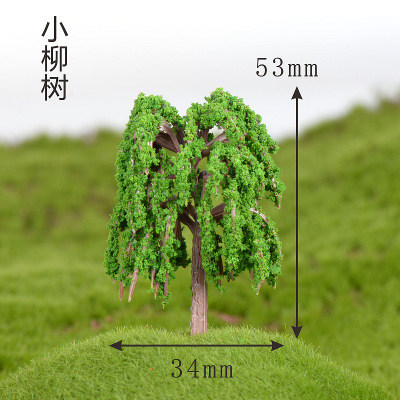 Small Willow Tree