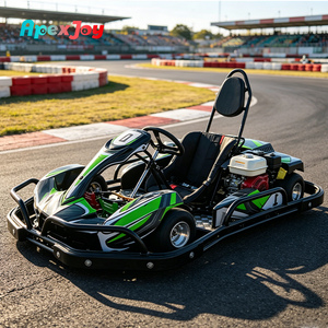 ApexJoy RACE GT Classic, Go Kart de Gasolina de 270cc, 9HP para Adultos, Kart de Carreras de Alquiler, Modelo Popular, Personalización al por Mayor - Product Image 2