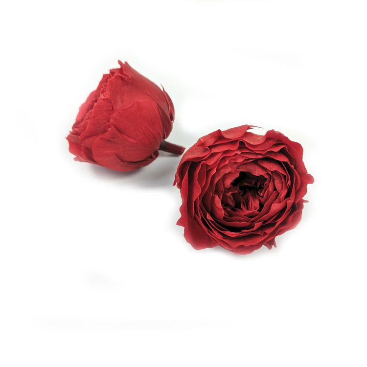 Rouge