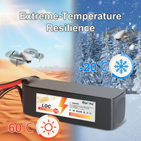 Batterie LiPo 22,2V 4000mAh 75C 6S personnalisée OEM à décharge rapide pour drone RC, hélicoptère FPV de course, UAV - Fabricant en gros