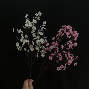 Junheyuan Fleurs artificielles Gypsophile à branche unique Blanc Rose Bleu Orange Rouge Rouge foncé pour Mariage Décoration intérieure Composition florale - Product Image 2