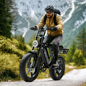 Bicicleta Eléctrica OEM de 48v 15ah 20ah 25km/h, 750w, 20 Pulgadas, Neumáticos Anchos, para Adultos, Modelo R005, Disponible en Almacén de la UE - Product Image 3