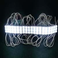 Modules LED MINI SMD 2835 110V 220V 29*07MM 3 LED 3000K 4000K 6000K 10000K, corps ABS étanche, pour enseignes lumineuses LED