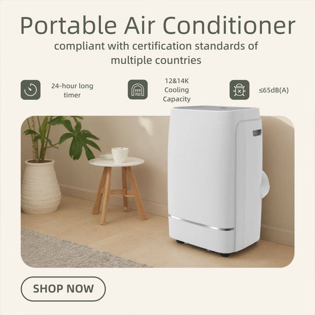 Portable Electric Air Conditioner AC/DC Powered Plastic Convenient Home Garage Hotel Cooling Moisture Removal Solution for Room