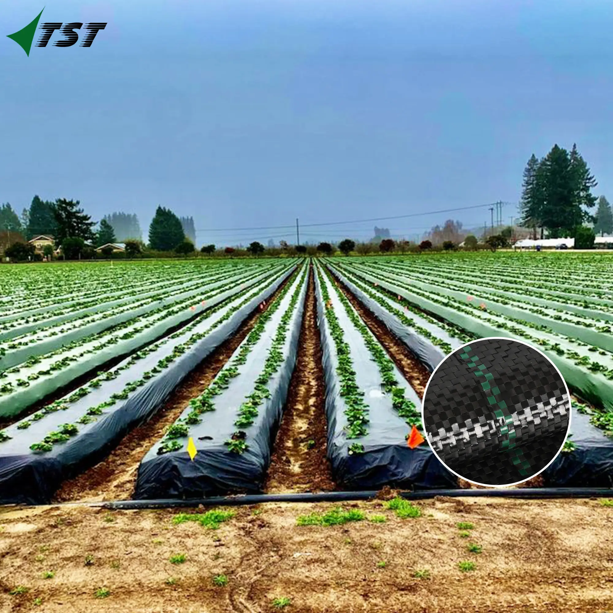 미국 농업을위한 좋은 효과와 잡초를 방제하기위한 하이 퀄리티 및 사용자 정의 색상 매트와 짠 잡초 매트