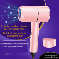 Sèche-cheveux de voyage à poignée pliable à 2 vitesses avec diffuseur ionique Sèche-cheveux à main pour sécher le style