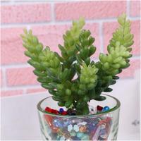 Planta Artificial de PVC Ecológica con Tacto Natural para Pared Verde DIY, Productos al por Mayor con Bajo MOQ, Flores para Jarrones, Césped Artificial