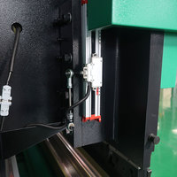 CNC 3M longueur 130 tonnes vert une presse plieuse hydraulique Dobladora Hidraulical Machine à cintrer avec moule de segment pour une haute qualité