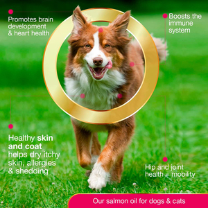 Venta al por mayor <span class=keywords><strong>de</strong></span> fábrica, suplementos para el cuidado <span class=keywords><strong>de</strong></span> la salud <span class=keywords><strong>de</strong></span> mascotas, aceite <span class=keywords><strong>de</strong></span> pescado para aliviar los <span class=keywords><strong>síntomas</strong></span> <span class=keywords><strong>de</strong></span> <span class=keywords><strong>alergia</strong></span>, nutre la capa <span class=keywords><strong>de</strong></span> la piel - Product Image 5