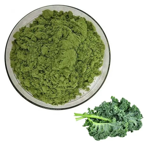 Polvo orgánico puro para batidos, extracto de kale, 100% puro