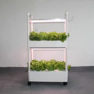 Systèmes de culture hydroponique verticaux pour jardin intérieur, éclairage de culture domestique, en vente - Product Image 6