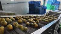 Bron Fabrikant Mango Gedroogd Fruit Complete Productielijn Mango Verwerkingsfabriek Speciale Machine Ondersteuning Oem