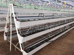 Hydroponics trồng cho cà chua dưa chuột tăng trưởng trough máy - Product Image 6