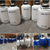 Dewar – bouteille d'azote liquide YDS-15, réservoir de semis, stockage cryogénique, Thermos sous vide