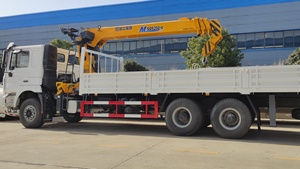 Camión grúa móvil Shacman F3000 10 T 4x2 Euro3, pluma hidráulica de 10 toneladas, capacidad de carga de 25 toneladas, buen precio para rodamiento de Motor - Product Image 6
