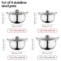 Marmite de cuisson classique en acier inoxydable en forme de pomme, base épaisse 5 couches, compatible induction, avec couvercle en verre – Offre Spéciale