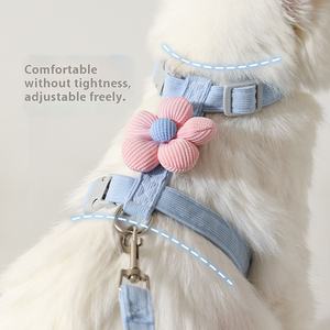 Offre Spéciale de haute qualité et de sécurité laisse de chat fleur laisse pour animaux de compagnie en forme de I ensemble laisse de petit chien applicable - Product Image 1