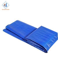 Bâche transparente extérieure de bâche de PE de bâche imperméable bleue de 50 260gsm