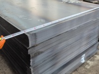 Lámina de Acero Galvanizado Dx51d Z275 de 0.75mm de Espesor con Apariencia Exquisita para Techos