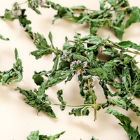 Feuilles de menthe verte séchées de qualité supérieure, 100% naturelles, sans additifs, matière première de qualité alimentaire, thé à la menthe verte, vente en gros, prix d'usine