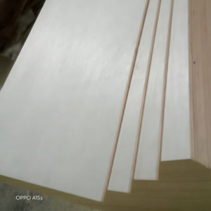 Contrachapado Comercial de Eucalipto de Alta Calidad, Diseño Moderno, Emisión de Formaldehído E2, Espesor de 4-35 mm, Competitivo, 1 Año de Garantía - Product Image 1