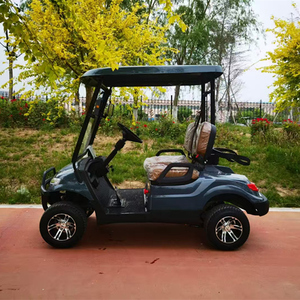 Voiturette de golf 2 places Premium 2025-Offre à durée limitée - Product Image 3