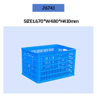 Caisse en plastique grillagée durable, empilable et écologique pour l'emballage des légumes, idéale pour les supermarchés et la logistique agricole.