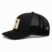 Perfil de corona alta a cuadros pantalla turquesa Lisa impresión sublimada logotipo personalizado gorra de camionero de espuma de malla de cinco paneles lisa