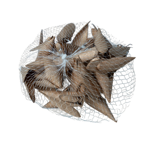 Set di Fette di Legno Naturale Arrotolate Champagne per Decorazione Murale, Ideale per <span class=keywords><strong>Natale</strong></span> <span class=keywords><strong>e</strong></span> Festività - Product Image 1