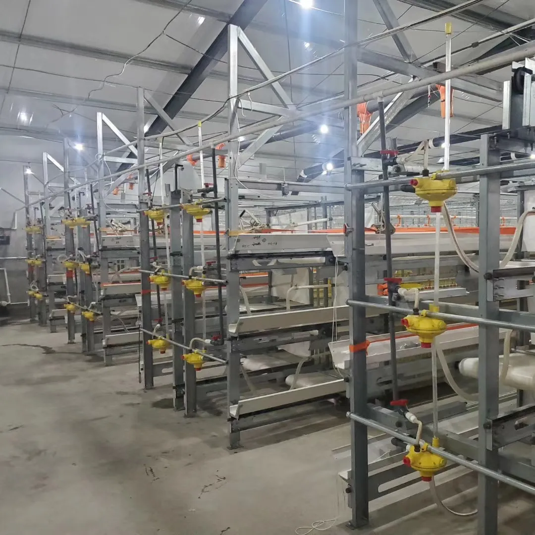 broiler chicken cage poultry farm feed equipments poultry house