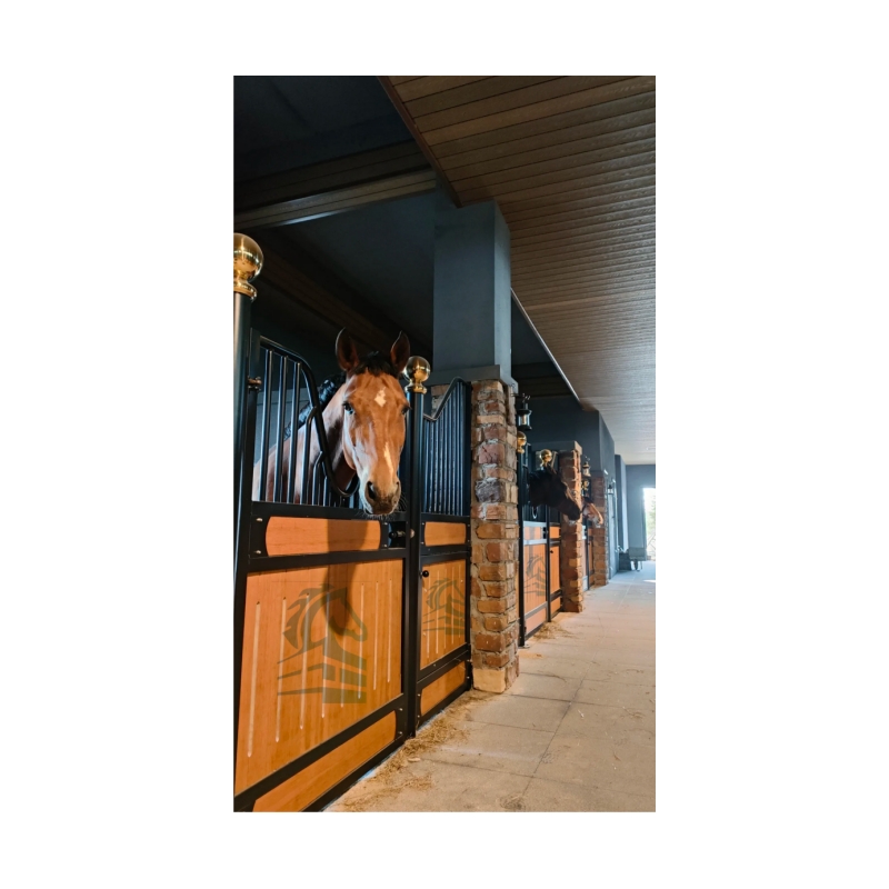 Eco - Friendly Paints Are Applied to Our Stables Emitting No Harmful Substances and Safeguarding Horse Health