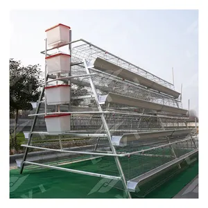 Layer Cages Egg Chicken A Type Battery Cage for Poultry Layer Farm
