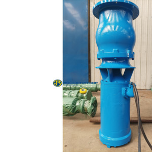 ปั๊มจุ่มแบบผสมไหลตามแนวแกน 10 เมตร 380V/440V 160-40000 ลิตร/ชม. สำหรับควบคุมน้ำท่วมและระบายน้ำ - Product Image 2