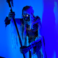 Modelo Animatrónico de Interior para Halloween Decoración de Terror con Fantasma Esqueleto y Calavera Sensor Infrarrojo para Parque Temático Aeropuerto Guardería y Escuela