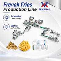Ligne de production de frites surgelées 10T/h avec contrôle de pression stable et système anti-brunissement enzymatique pour une couleur de produit constante