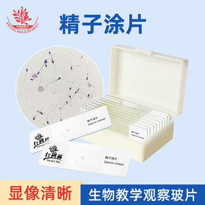 Équipement pédagogique biologique pour l'analyse des écouvillons de sperme humain, microscopie préliminaire, démonstration, lamelles microscopiques, sections biologiques - Product Image 5