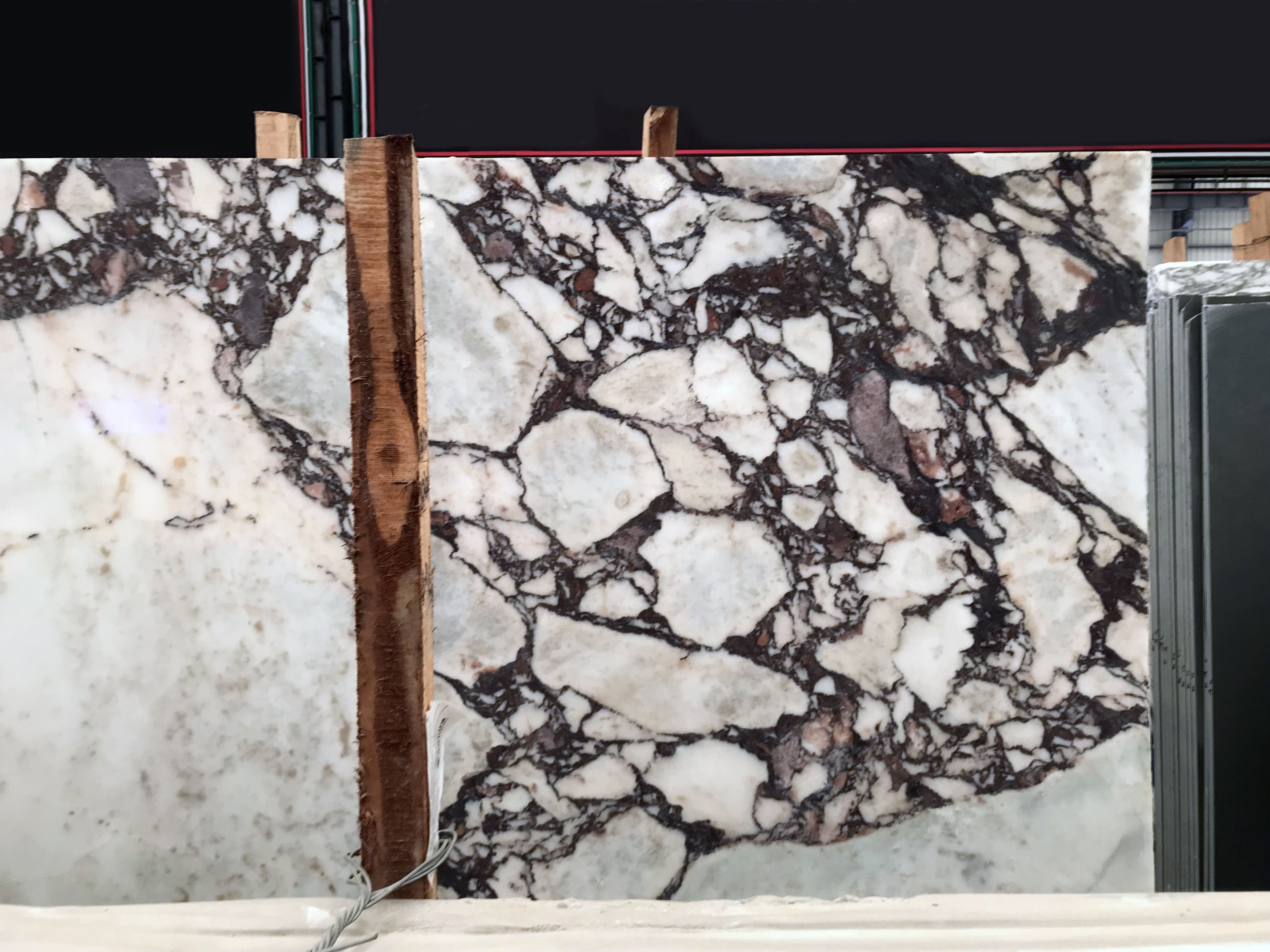 คาลาคัตต้าไวโอเล็ต